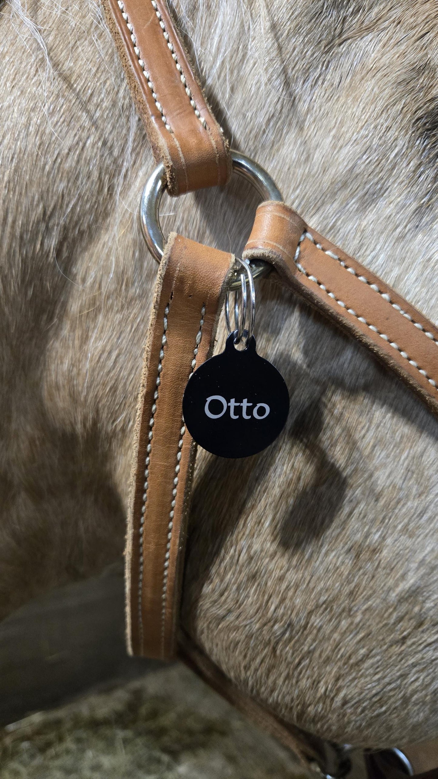 Bridle Tag, Halter Tag, Horse Name Tag,  Blanket Tag, Barn ID, Personalized Bridle Tag, Saddle Tag, Stable Name Tag, Horse Lover Gift