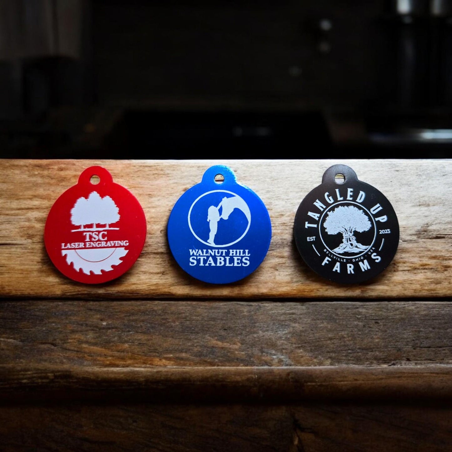 Bridle Tag, Halter Tag, Horse Name Tag,  Blanket Tag, Barn ID, Personalized Bridle Tag, Saddle Tag, Stable Name Tag, Horse Lover Gift