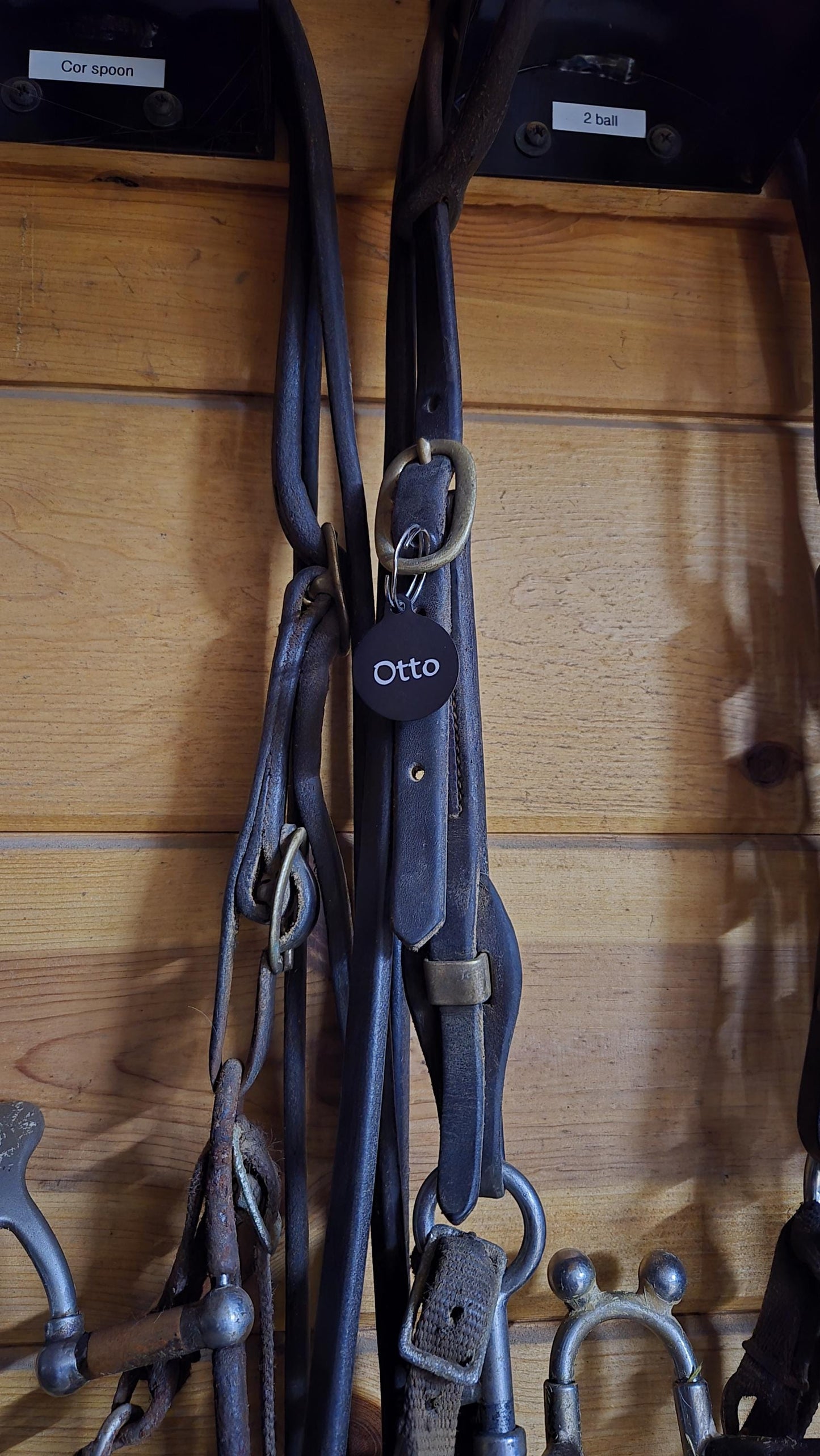 Bridle Tag, Halter Tag, Horse Name Tag,  Blanket Tag, Barn ID, Personalized Bridle Tag, Saddle Tag, Stable Name Tag, Horse Lover Gift