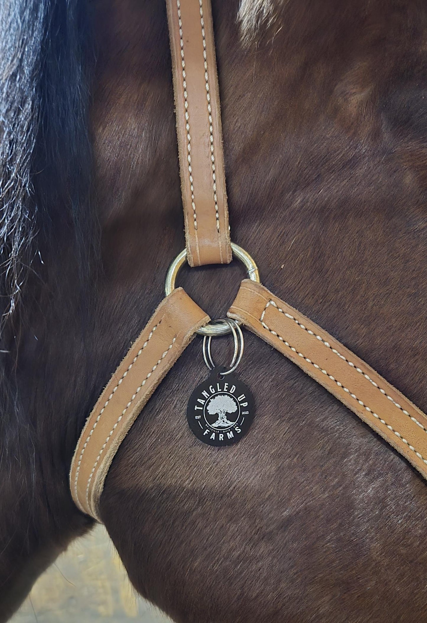 Bridle Tag, Halter Tag, Horse Name Tag,  Blanket Tag, Barn ID, Personalized Bridle Tag, Saddle Tag, Stable Name Tag, Horse Lover Gift