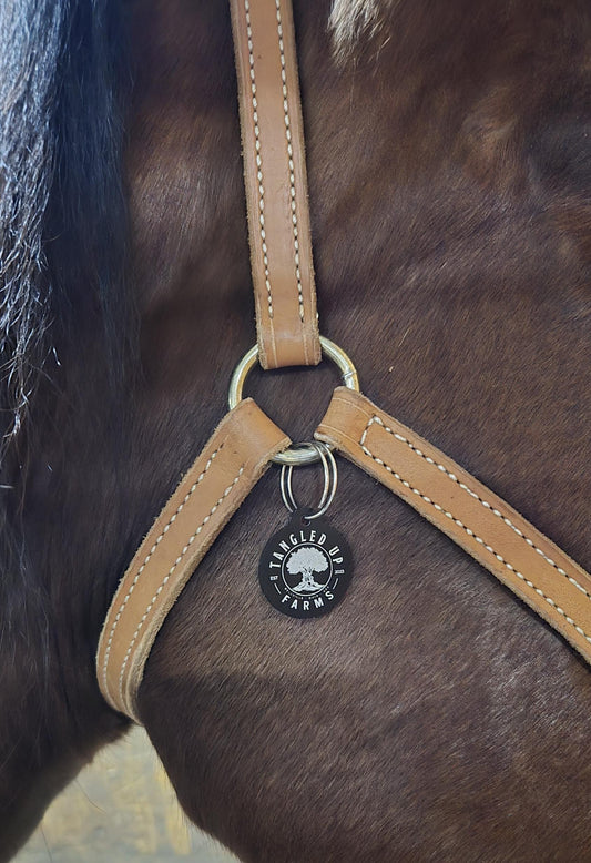 Bridle Tag, Halter Tag, Horse Name Tag,  Blanket Tag, Barn ID, Personalized Bridle Tag, Saddle Tag, Stable Name Tag, Horse Lover Gift