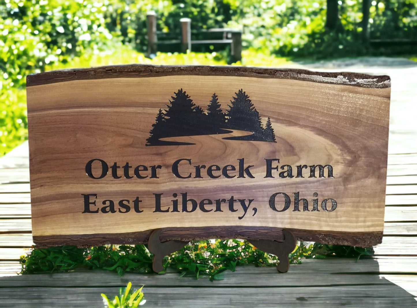 Personalized Last Name Established Sign Family Name Sign Wooden Sign Custom Wood Sign Anniversary Couple Gift Personalized Sign Wedding Gift