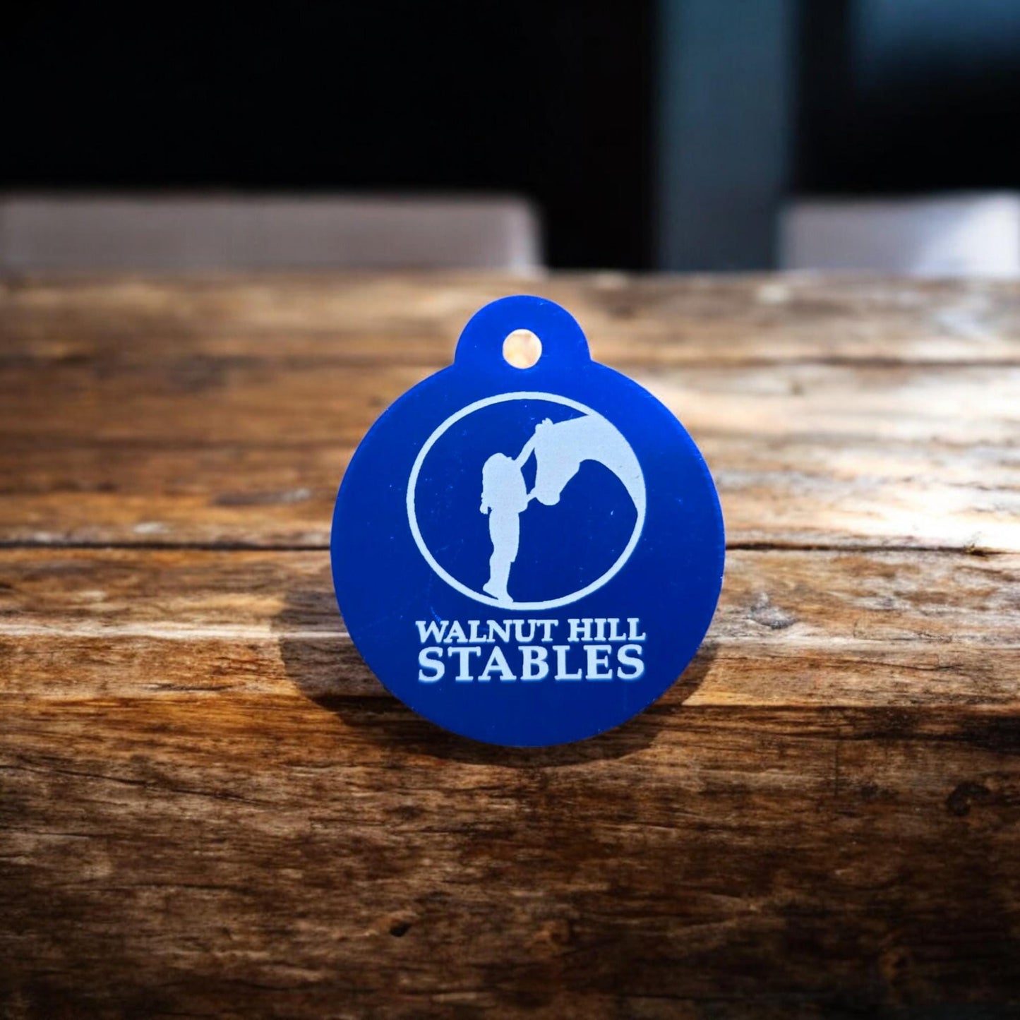 Bridle Tag, Halter Tag, Horse Name Tag,  Blanket Tag, Barn ID, Personalized Bridle Tag, Saddle Tag, Stable Name Tag, Horse Lover Gift